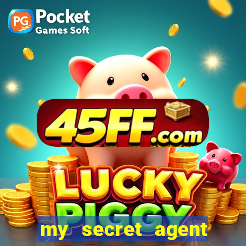 my secret agent husband legendado